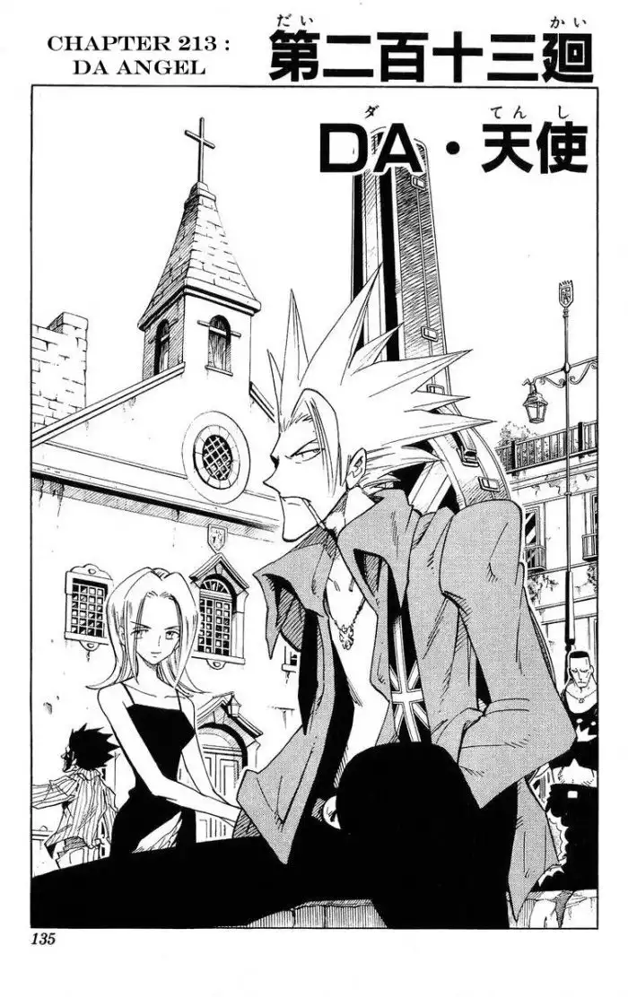 Shaman King Chapter 213 3